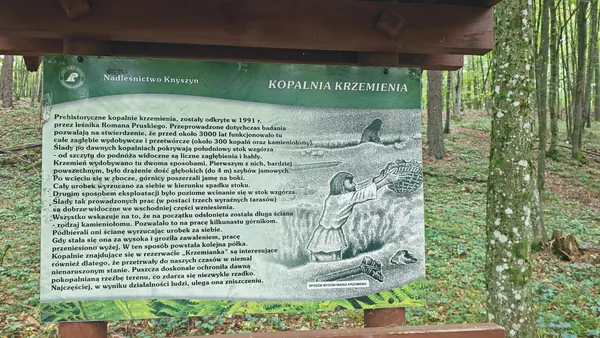 Tablica „Kopalnia krzemienia” z rysunkiem szybów jamowych.