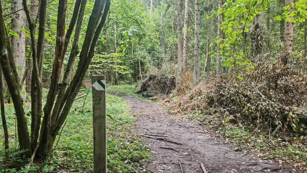 Oznakowanie szlaku przy leśnej drodze w rezerwacie.