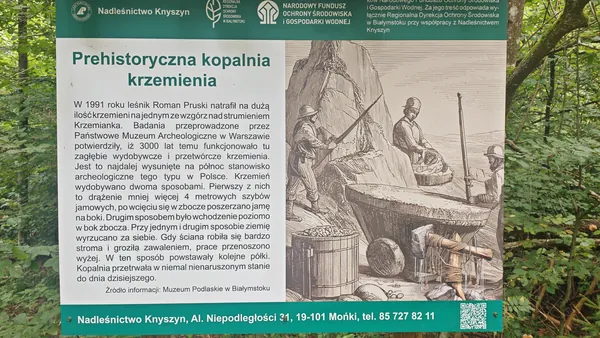 Tablica „Prehistoryczna kopalnia krzemienia” w rezerwacie.