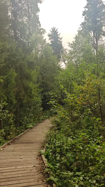 Ścieżka prowadząca do kładki nad źródliskami.