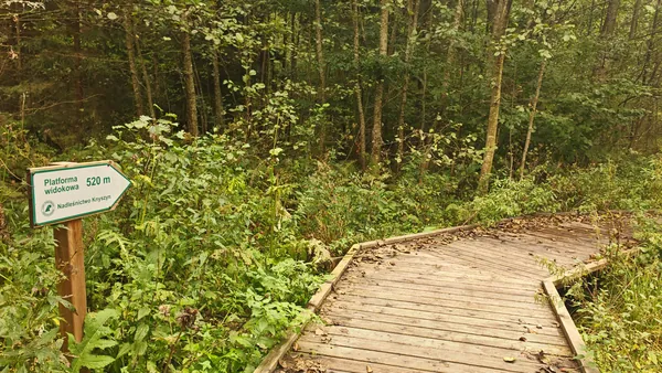 Kładka i drogowskaz na trasie do źródlisk.