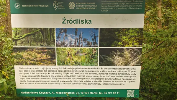Tablica edukacyjna „Źródliska” Nadleśnictwa Knyszyn.