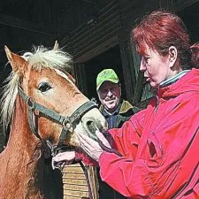 Witalis Nikołajuk